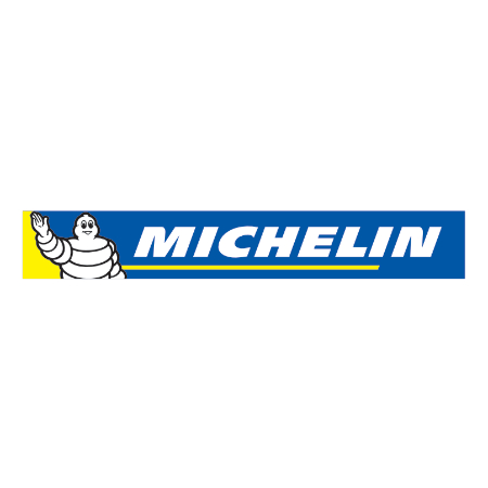 Michelin Logo_450